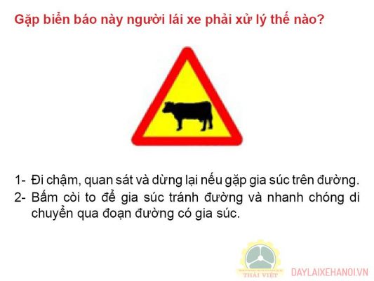 600-cau-hoi-ly-thuyet-lai-xe-428-533x400-3 600-cau-hoi-ly-thuyet-lai-xe-428